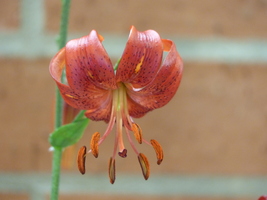 Foto: Dr. Peter Müller